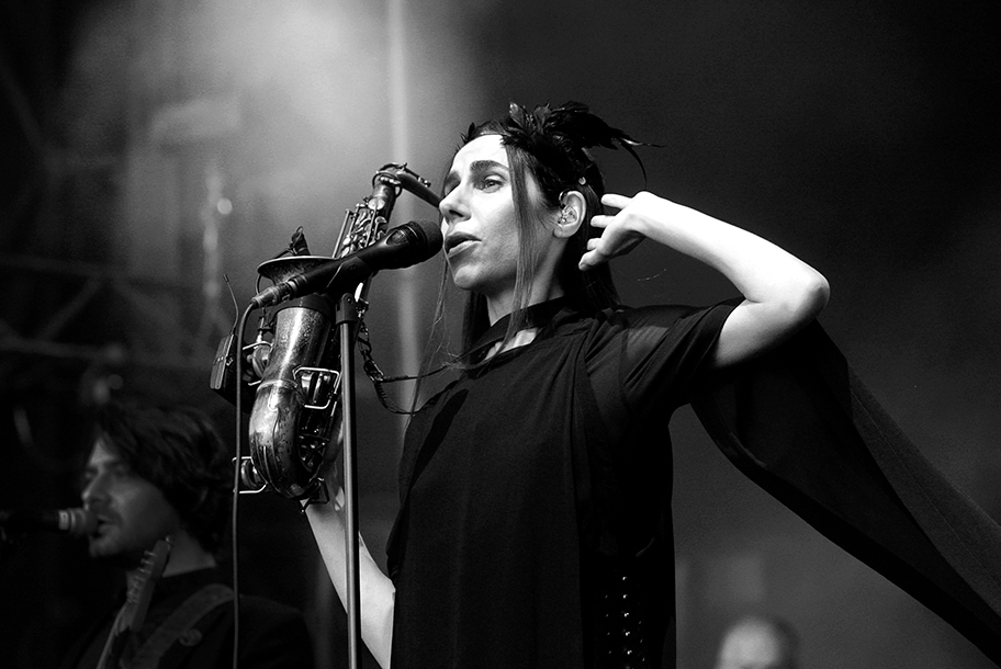 the wombats